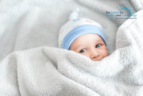 shutterstock_539860900