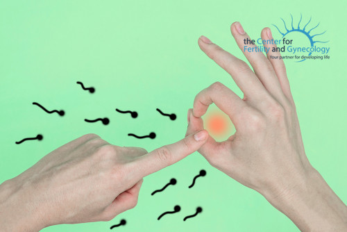 shutterstock_1114615889